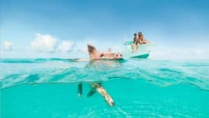Staniel Cay Yacht Club A pig swims in the clear blue water near a boat where two people relax, soaking up the stunning views offered by Rentals on Staniel Cay. Vacation Rentals and Resort on Staniel Cay Exuma