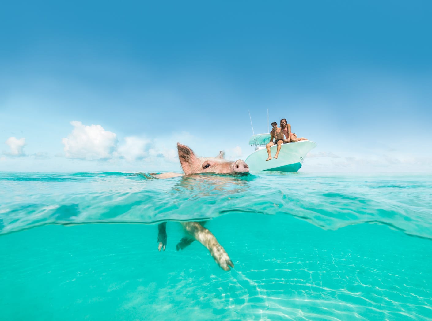 Two women swimming with a pig in the water at Staniel Cay, The Bahamas.