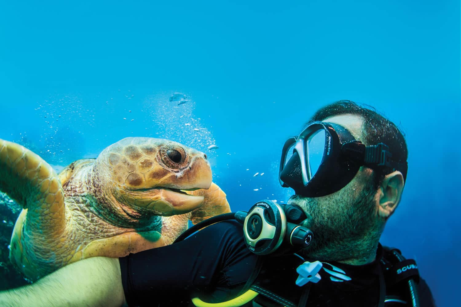 A man enjoying his scuba diving adventure with a turtle off the coast of Staniel Cay, The Bahamas.
