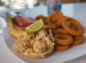 This Staniel Cay vacation rental offers a plate with a delicious sandwich and crispy onion rings on it.
