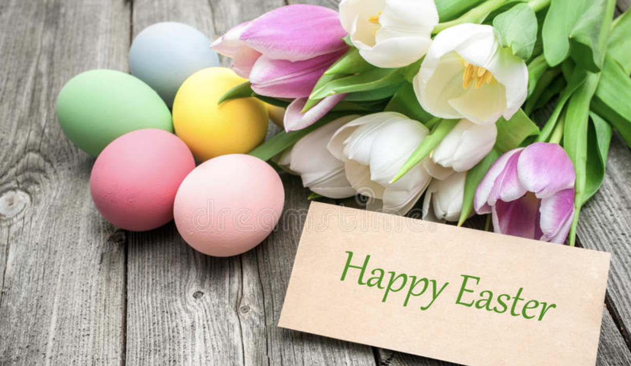 Happy easter card with colorful eggs and tulips on a Staniel Cay Yacht Club.